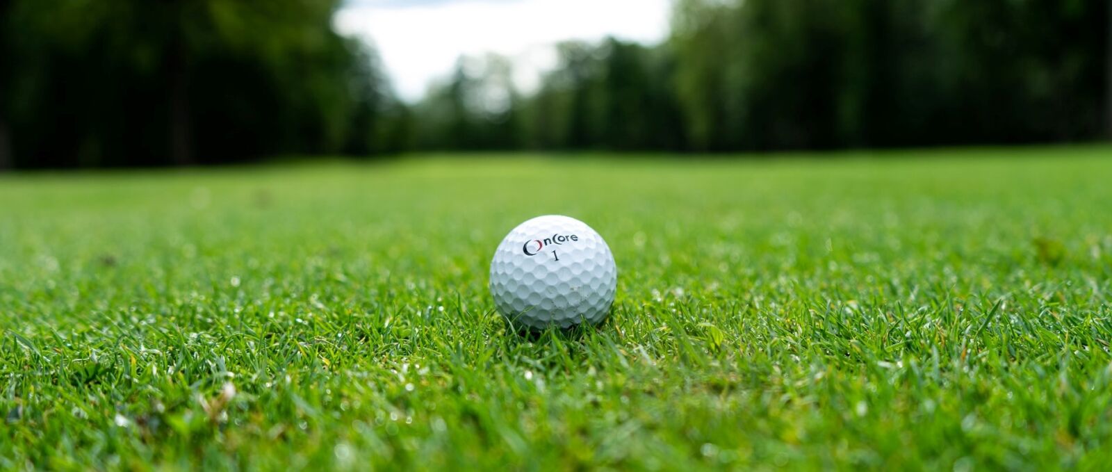 golf ball on a golf course in florida